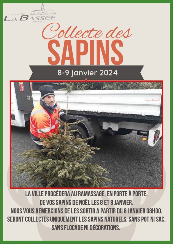Collecte des sapins