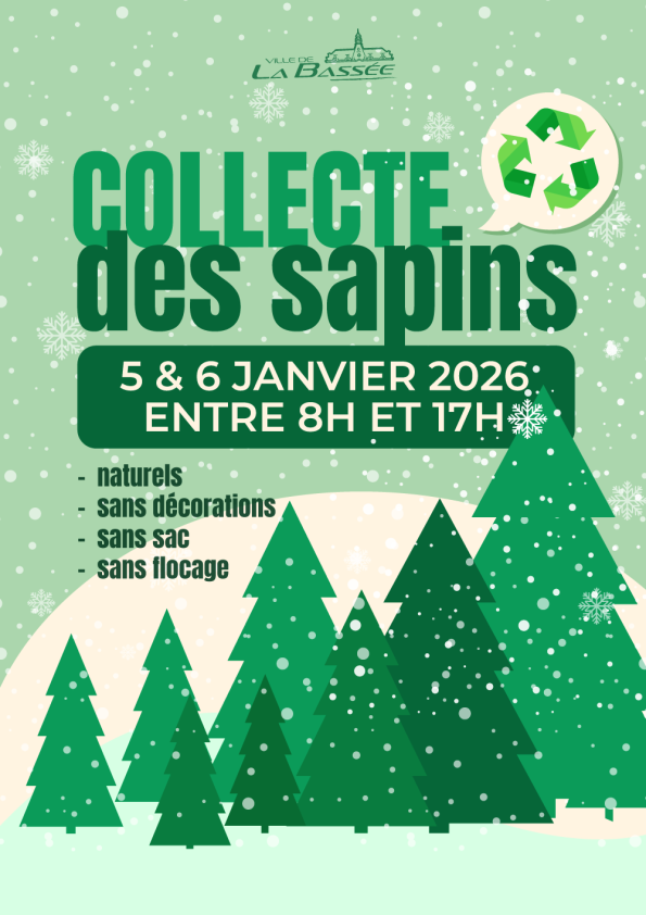 Collecte des sapins